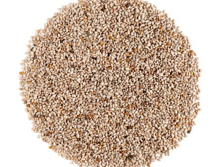 White Chia Seed For Cheap