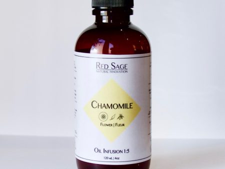 CHAMOMILE FLOWER OIL INFUSION For Cheap