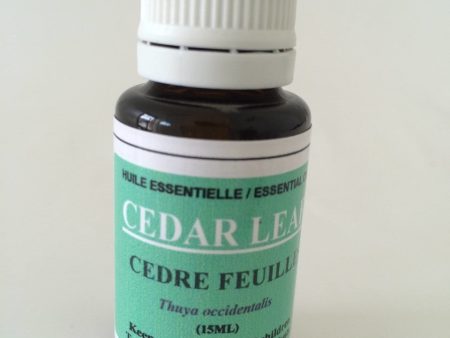 CEDAR LEAF OIL 15ml Supply