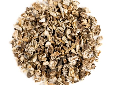 Burdock Hot on Sale