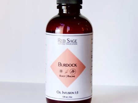 BURDOCK ROOT OIL INFUSION Hot on Sale