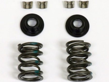 Dual Valve Spring Kit,  40lbs For Sale