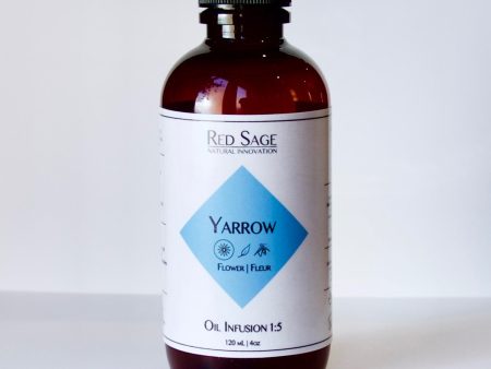 YARROW FLOWER OIL INFUSION Online now