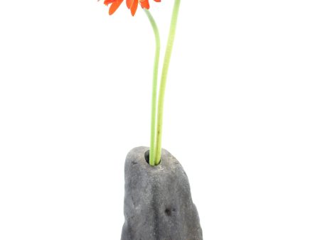 Stone Flower Vase V104 SOLD Cheap